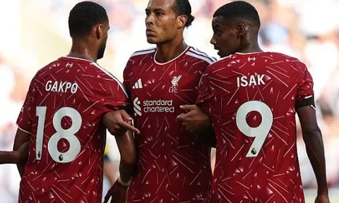 Van Dijk gửi thông điệp cho Gakpo sau drama chuyển nhượng