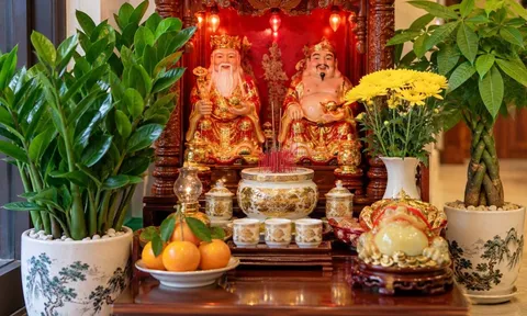 Cách trồng cây ở ban thờ Thần Tài giúp thu hút tài lộc, tăng sinh khí, gia chủ nên biết