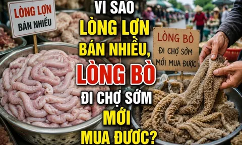 Vì sao lòng lợn bán nhiều, lòng bò đi chợ sớm mới mua được?