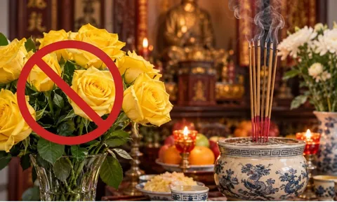 Vì sao hoa hồng vàng lại không được dùng thắp hương?