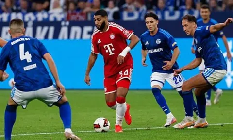 Hàng thủ thép, Schalke kiên cường cầm hòa Bayern