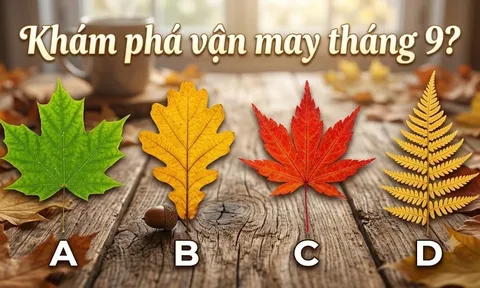 Đâu là chiếc lá bạn thích nhất để khám phá vận may tháng 9?