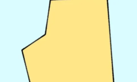 Trắc nghiệm tâm lý: Bạn đã thấy hình ảnh gì từ cái nhìn đầu tiên?