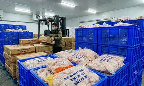 Một loại thịt nhập khẩu vào Việt Nam giá chỉ hơn 26.000 đồng/kg, lượng nhập tăng mạnh