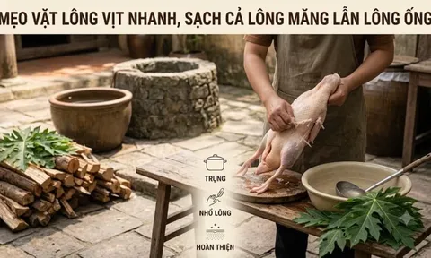 Mẹo vặt lông vịt nhanh, sạch cả lông măng lẫn lông ống