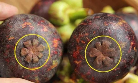 Mẹo chọn măng cụt ngọt lừ, múi to không sượng