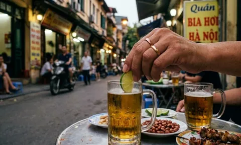 Tại sao nhiều người thích cho vài lát chanh tươi vào cốc bia?