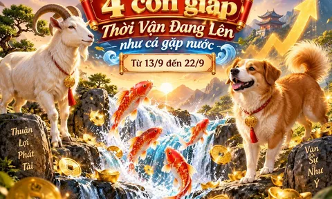 4 con giáp Thời Vận Đang Lên như cá gặp nước từ 13/9 đến 22/9