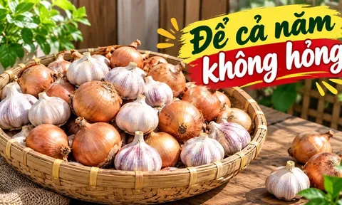 Mẹo bảo quản hành tỏi cả năm không mốc, ọp