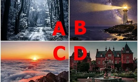 Trắc nghiệm: Chọn 1 bức tranh, biết ngay kiểu người nào phù hợp với bạn, có thể cùng bạn đi đường dài