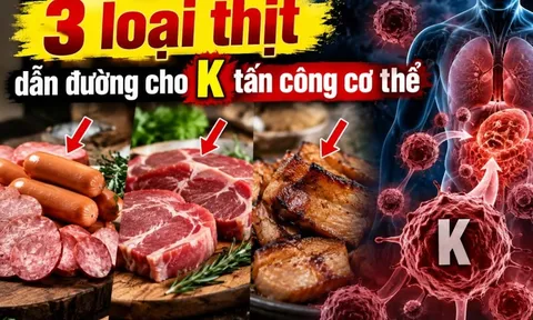 3 loại thịt dẫn đường cho K tấn công cơ thể