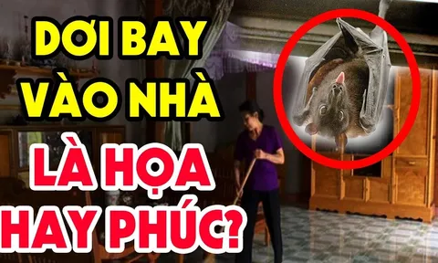 3 con vật vào nhà mang tới may mắn