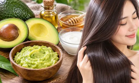 Cách dùng quả bơ hỗ trợ giúp mượt tóc, giảm khô xơ: 4 cách đơn giản, tóc mềm hơn thấy rõ