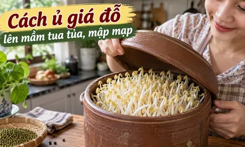 Cách ủ giá đỗ lên mầm tua tủa, mập mạp