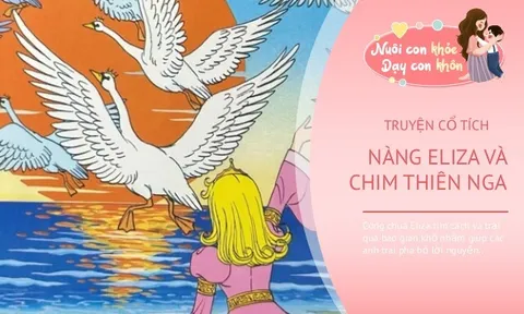 Truyện cổ tích: Thiên Nga hoang dã