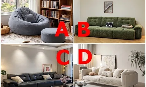 Trắc nghiệm: Chọn một chiếc sofa, xem đời này bạn được hưởng phúc từ chính mình, chồng hay con cái