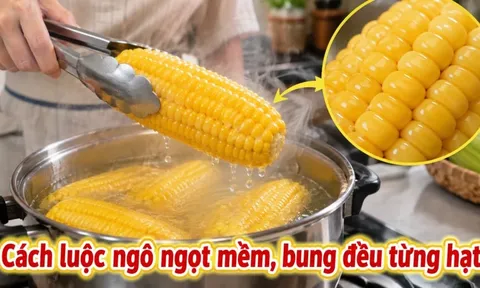 Cách luộc ngô ngọt mềm, bung đều từng hạt