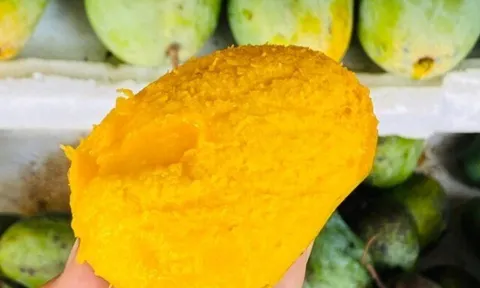 Loại quả đặc sản Sơn La xưa chín rụng đầy nay bán 45.000 đ/kg, trồng một lần thu hoạch nhiều năm, hương vị đặc biệt