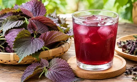 Nước tía tô không phải với ai cũng tốt: 5 trường hợp nên hạn chế