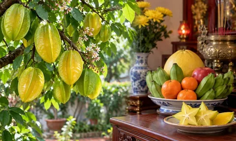 Vì sao nhiều người thích trồng cây khế phong thủy nhưng hầu như không dùng quả khế để thắp hương?