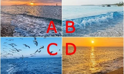 Trắc nghiệm: Chọn một bức ảnh biển cả, biết ngay bạn có dễ yêu nhầm người không
