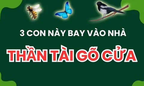3 con vật vào nhà mang tới may mắn cho gia chủ