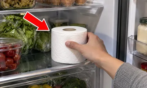 Đêm ngủ đặt cuộn giấy vào tủ lạnh có tác dụng gì?