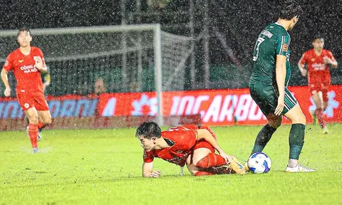 Chuyên gia lên án Văn Sơn, Tấn Sinh đá xấu Đình Bắc
