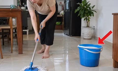Tại sao lau sàn nhà nên dùng nước nóng?