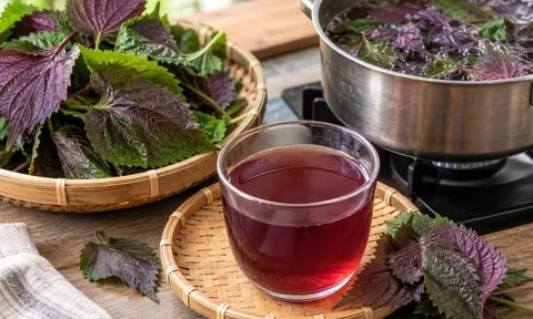 Nấu nước tía tô bao nhiêu phút? Làm đúng cách này nước thơm và dễ uống hơn