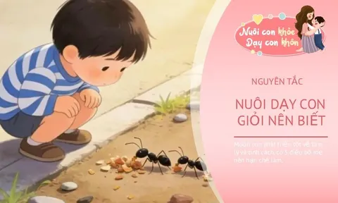 Muốn con sau này thành tài, bố mẹ đừng vội làm 3 điều này khi trẻ còn nhỏ