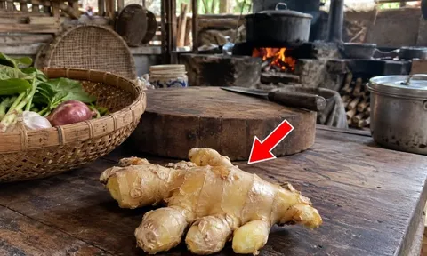 Cách bảo quản gừng để cả tháng vẫn không héo quắt
