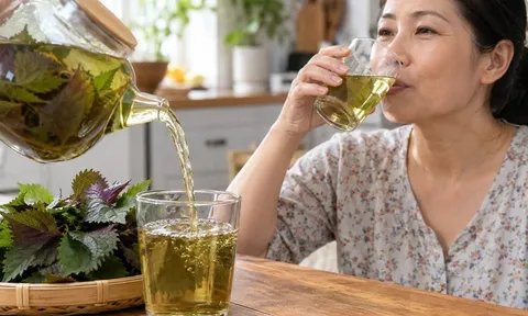 Cách nấu nước lá tía tô uống đẹp da, dưỡng tóc