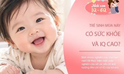 Trẻ sinh vào 3 tháng cuối năm được cho là có IQ nổi bật: Vì sao lại như vậy?
