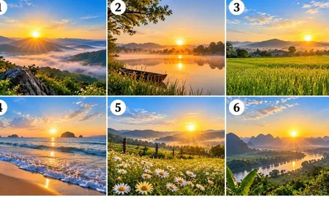 Khung cảnh bình minh nào đã thu hút bạn?