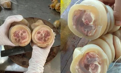 Vó bò là bộ phận nào của con bó?