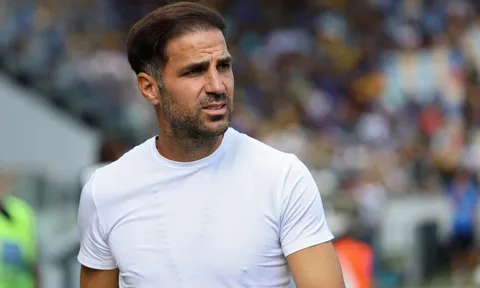 Di Marzio tiết lộ Fabregas có điều khoản rời Como để đến Arsenal
