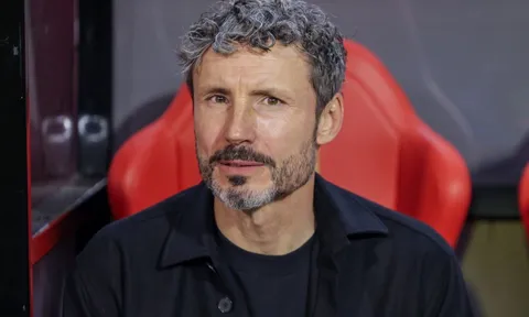 Truyền thông Bỉ ca ngợi Van Bommel dù đội nhà gục ngã trước Pháp