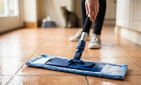 Cách xử lý mùi tanh sau khi lau nhà