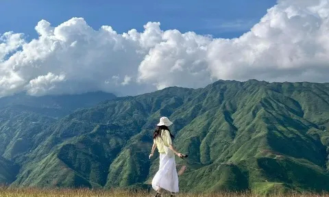 Có gì ở Tà Xùa - Điểm đến du lịch mới nổi hàng đầu Châu Á? Lưu ngay 8 nơi check-in mê hoặc tín đồ trekking 