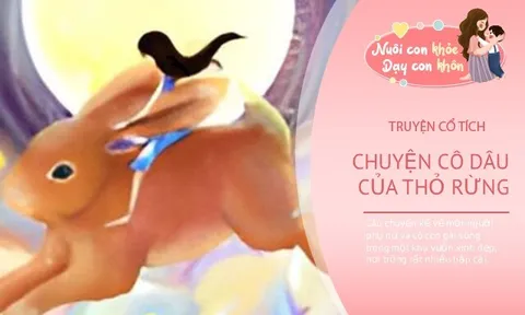 Truyện cổ tích: Cô dâu của thỏ rừng