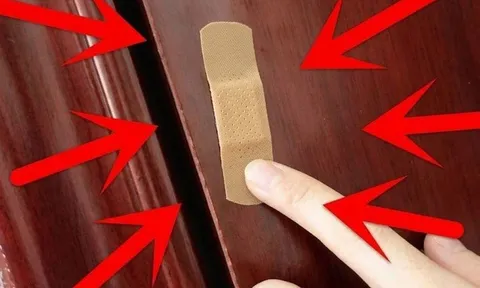 Tại sao bạn nên dán 1 miếng băng urgo lên cửa nhà vệ sinh?