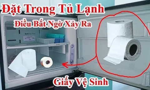 Vì sao nên đặt cuộn giấy vệ sinh vào ngăn mát tủ lạnh
