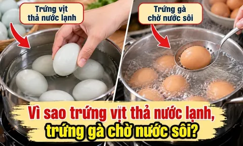 Tại sao luộc trứng vịt thả nước lạnh, luộc trứng gà phải chờ nước sôi?