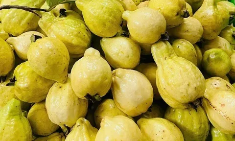 Loại quả tốt trên thế giới, Việt Nam trồng bạt ngàn thành đặc sản có giá 60.000 đ/kg, thu hoạch nhiều năm