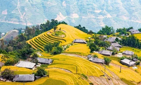 12 địa điểm du lịch tháng 10 ở Tây Bắc: Ngắm hoa tam giác mạch, săn mây cực đẹp, có nơi được ví “Vịnh Hạ Long trên núi”