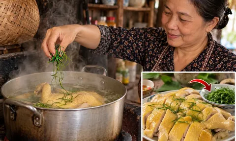 Vò nắm lá này thả vào nòi, gà căng mọng nước, không sợ đỏ xương