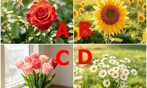 Trắc nghiệm: Chọn 1 bông hoa, bóc trần mức độ đáng tin của người ấy, xem bạn có đang chọn đúng người