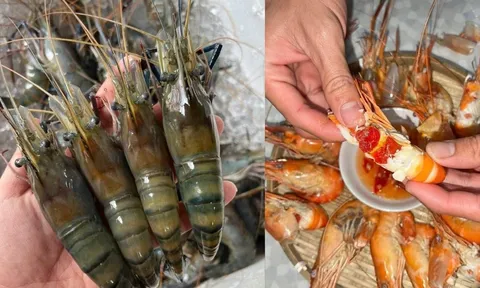 Phần đen trên đầu tôm là gạch hay chất thải: Cách đơn giản để phân biệt