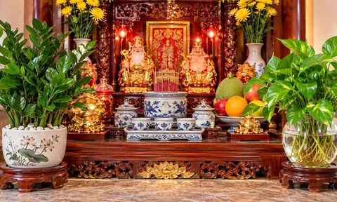Trồng cây cảnh ở ban thờ Thần Tài: Trồng thủy sinh hay trong chậu đất mới hợp phong thủy?